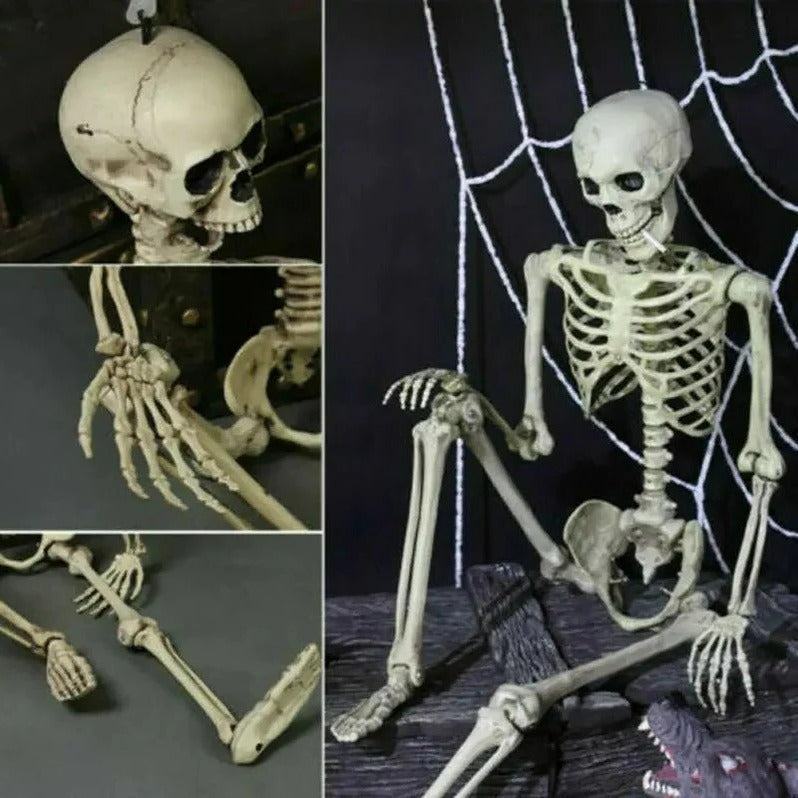 Poseable Creepy Skeleton from Belro, Halloween decoration with articulated joints for spooky home and garden decor.