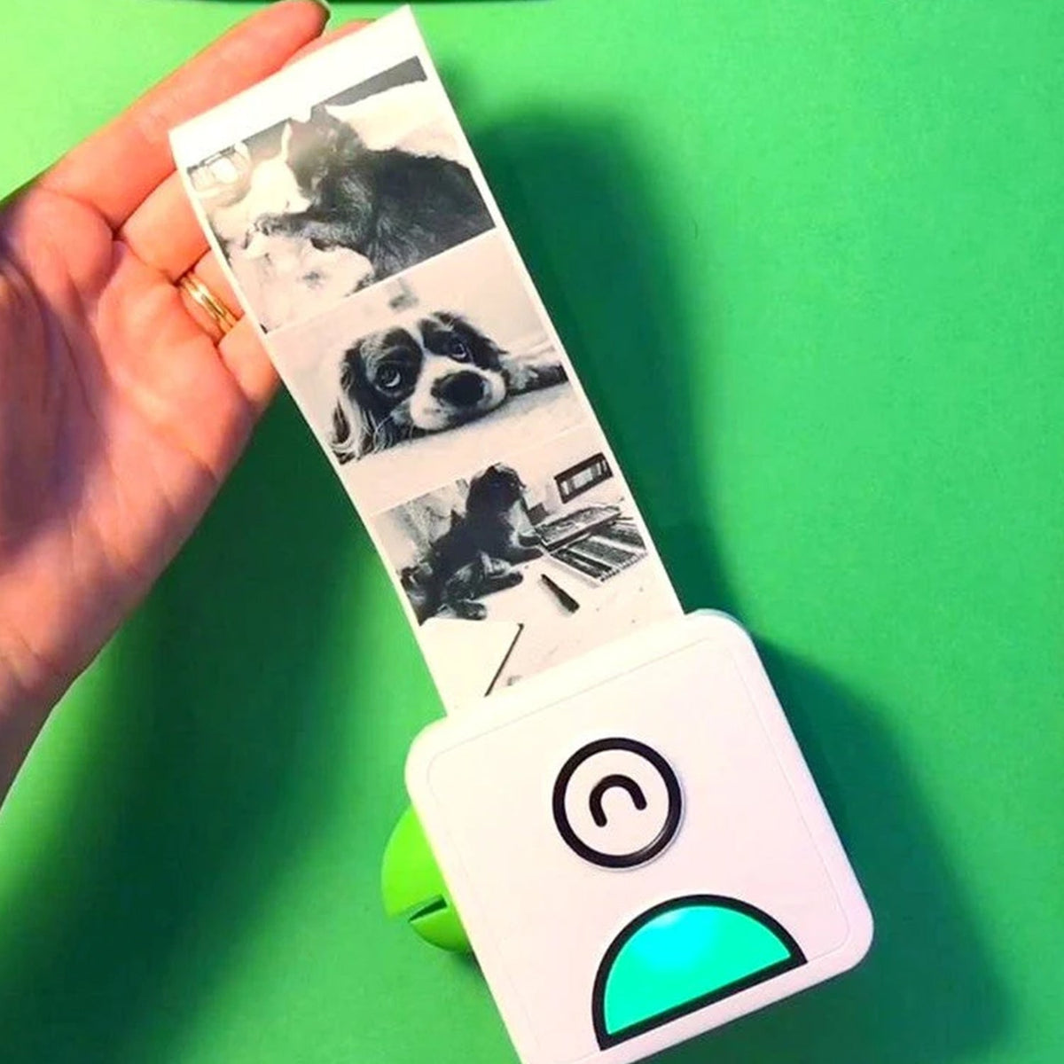 Belro Pocket Inkless Printer showing compact design with printed photo output on white background.