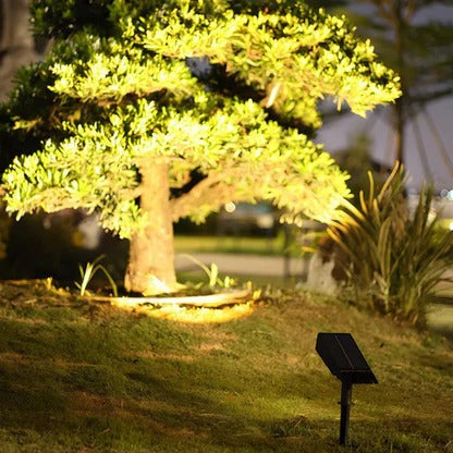Belro Solar LED Multi-Zoom Spot Light illuminating a garden area with adjustable zoom lens for outdoor lighting.