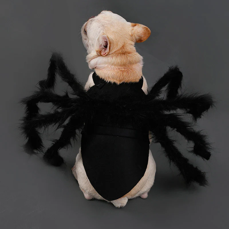 Belro pet funny spider costume with black and red fabric, featuring spider leg details, perfect for humorous pet dress-up.