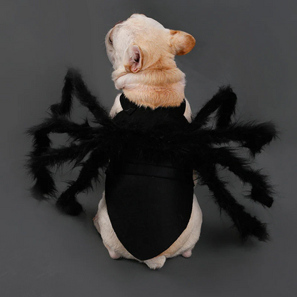 Belro pet funny spider costume with black and red fabric, featuring spider leg details, perfect for humorous pet dress-up.