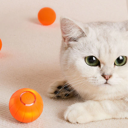 Belro Pet Ball, special edition cat toy with a colorful design, made of durable material for playful feline fun.