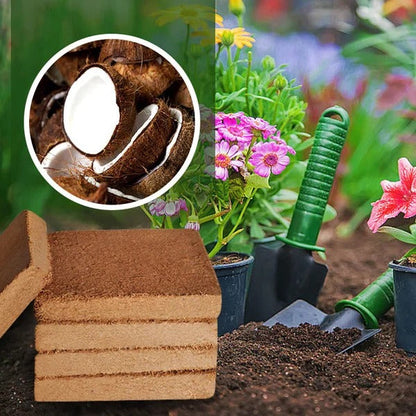 Organic coconut coir for plants, ideal for outdoor gardening, shown in a natural, fibrous form suitable for plant growth.