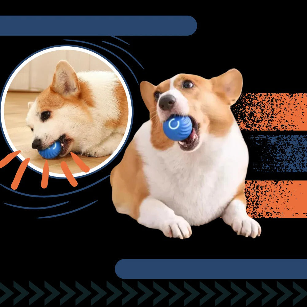 Belro interactive obstacle-avoiding dog ball toy for pets, featuring a colorful design and motion sensors on a plain background.