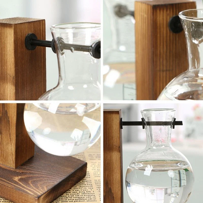 Belro wooden frame hydroponic plant vase with glass container for home garden decor, showcasing lush green plants.