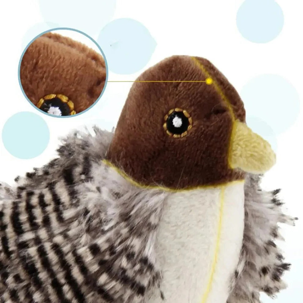 Belro Interactive Sound Bird Cat Toy with flapping feathers, designed for indoor cats to stimulate play and engagement.