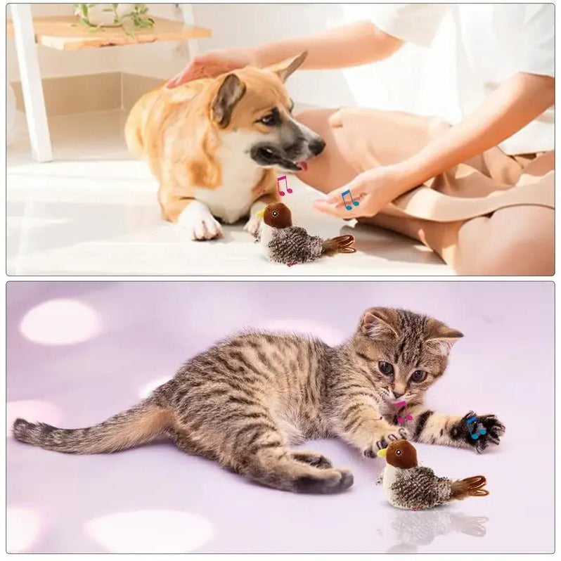 Belro Interactive Sound Bird Cat Toy with flapping feathers, designed for indoor cats to promote play and stimulation.