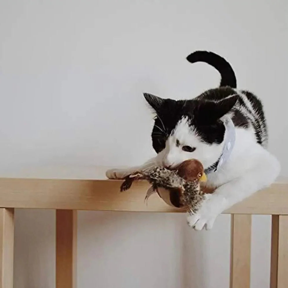 Belro Interactive Sound Bird Cat Toy with flapping feathers, designed for indoor cats to promote play and stimulation.