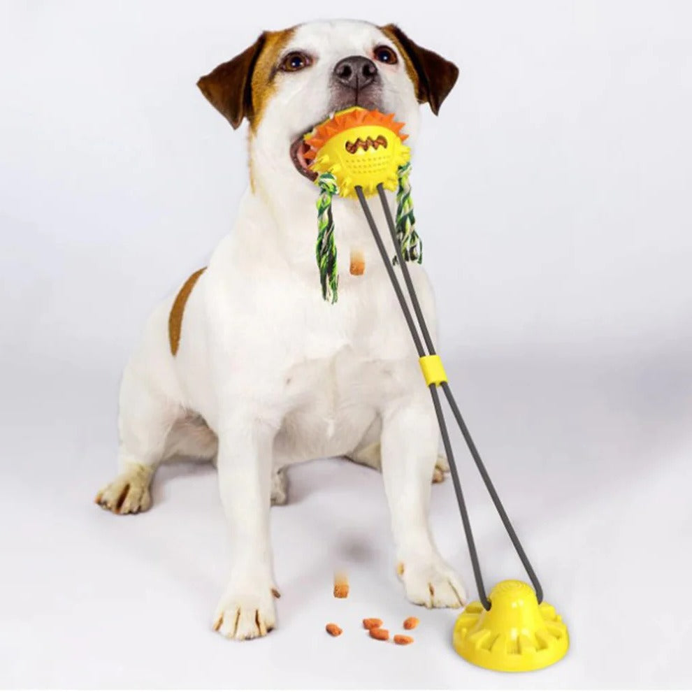 Belro interactive self-playing cat toy with colorful spinning elements for engaging feline play and mental stimulation.