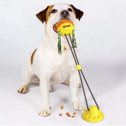 Belro interactive self-playing cat toy with colorful spinning elements for engaging feline play and mental stimulation.