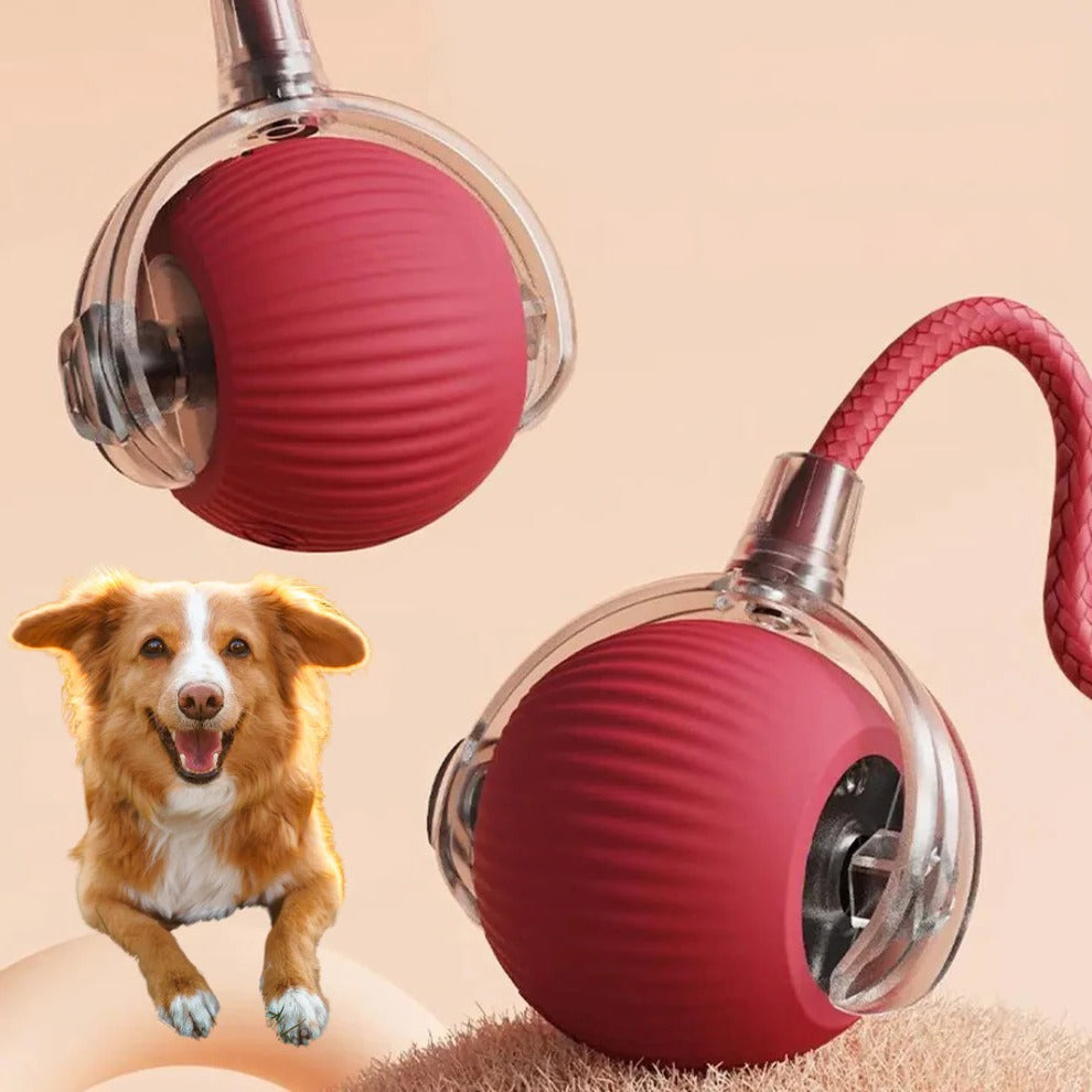 Belro active rolling ball with tail toy for dogs, durable pet toy designed for active play and entertainment.