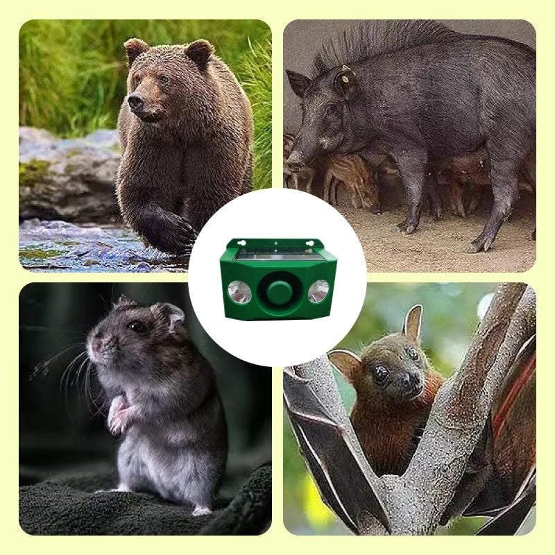 Belro Beast Repellent Solar Warning Light in outdoor garden setting, designed for pest control and wildlife deterrence.