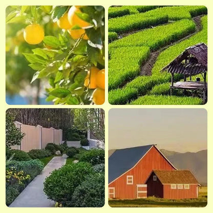 Belro Beast Repellent Solar Warning Lights for outdoor pest control, visible solar panels and warning lights in a garden setting.
