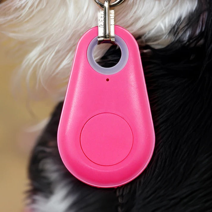 Belro Pets Smart Waterproof GPS Tracker attached to a pet collar showing its compact design and durable waterproof casing.