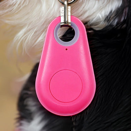 Belro Pets Smart Waterproof GPS Tracker attached to a pet collar showing its compact design and durable waterproof casing.