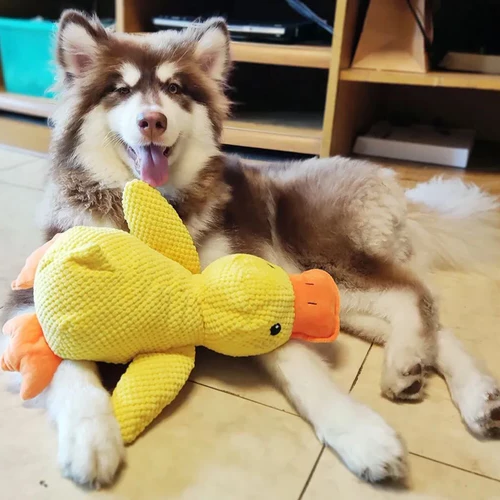 Belro Calming Duck Dog Toy made of soft fabric, designed to soothe dogs during play and relaxation.