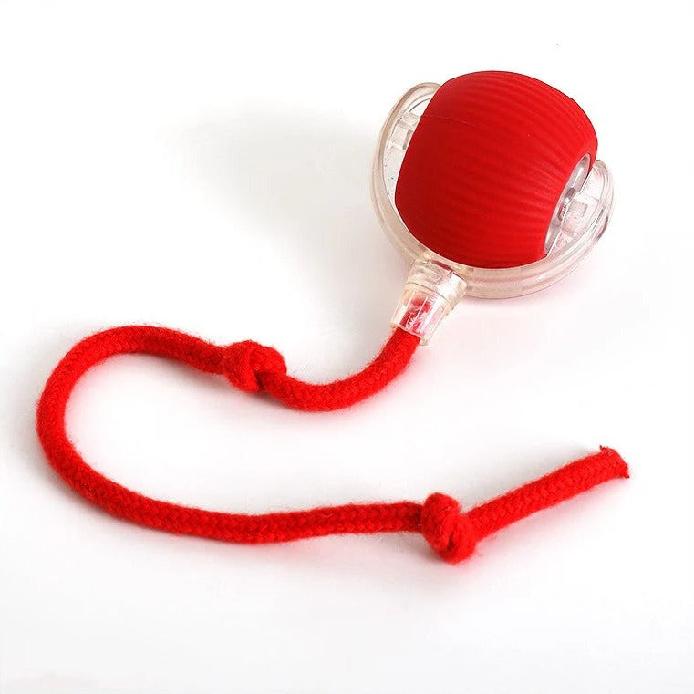 Belro active rolling ball with tail toy for dogs, featuring a colorful design and soft texture for playful outdoor or indoor fun.