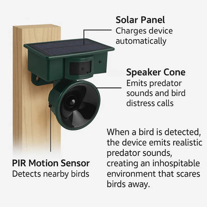 Belro motion sensor bird deterrent for crows and pigeons, showing outdoor pest control device with sound scarer in a garden setting.