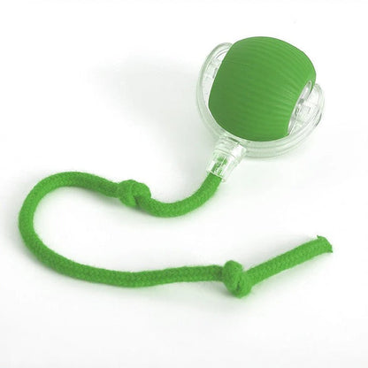 Belro active rolling ball with tail toy for dogs, durable pet toy designed for interactive play and fun.