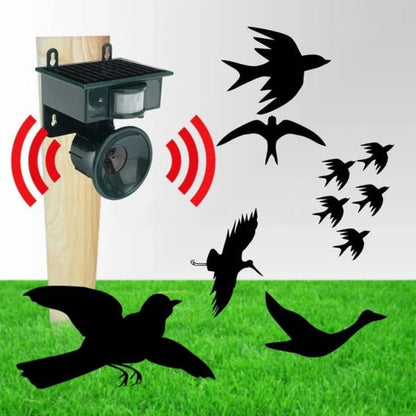 Belro motion sensor bird deterrent device with sound scarer for repelling crows and pigeons in outdoor pest control.