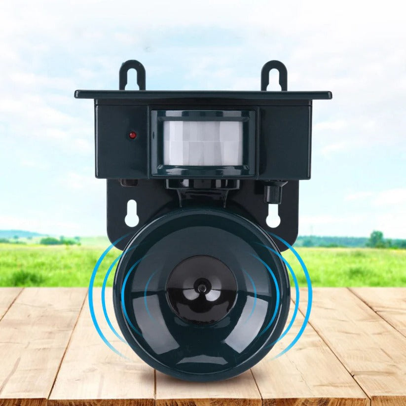 Belro motion sensor bird deterrent device for crows and pigeons, outdoor pest control with sound scarer in a garden setting