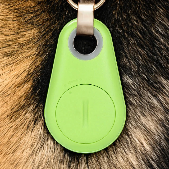 Belro Pets Smart waterproof GPS tracker for pets, showing the device with GPS screen and waterproof design in a natural setting.