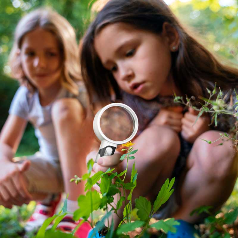 Handheld LED lighted magnifying glass from Belro for reading small print and books, with a clear lens and ergonomic handle.