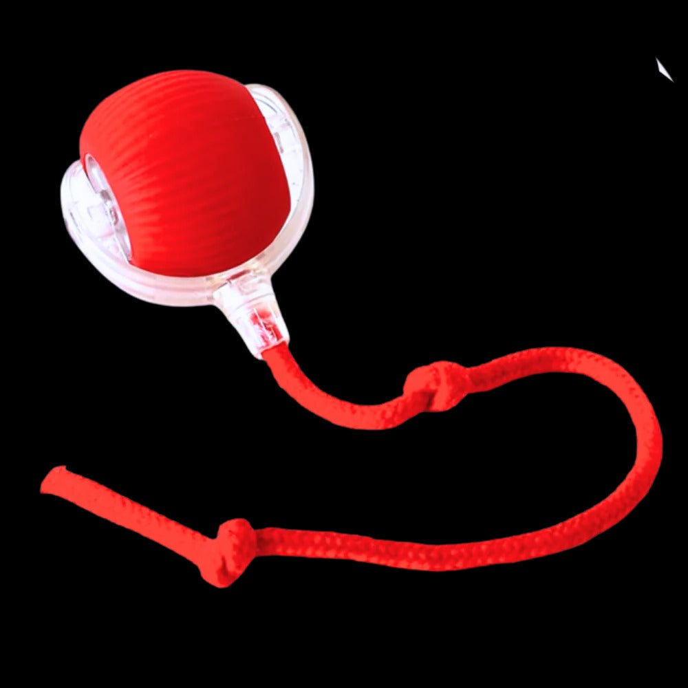 Belro smart interactive cat ball toy with colorful LED lights, designed to entertain and engage cats in pet supplies.