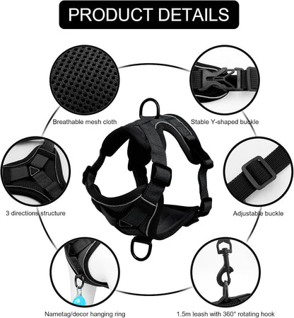Reflective cat harness and leash set by Belro with adjustable straps and reflective material for visibility during walks.