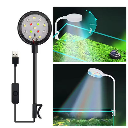 Belro fish tank light fixture providing bright, energy-efficient illumination for aquatic environments in pet aquarium setups.