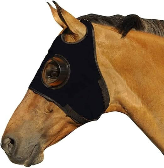 Belro horse blinders for outdoor riding, showing black leather straps and metal hardware on a horse's head.