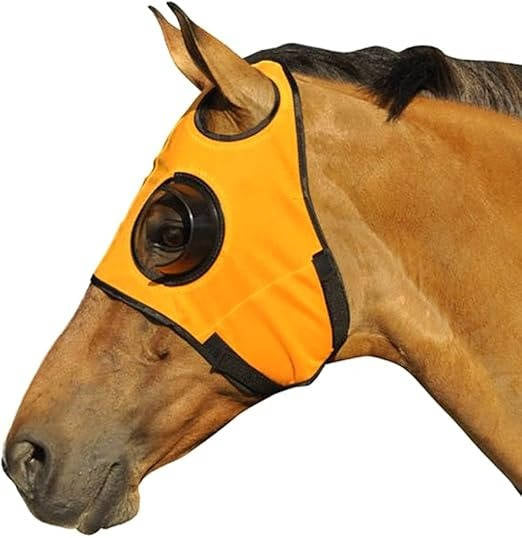 Belro horse blinders for outdoor riding, durable black leather horse accessories with adjustable straps for comfortable fit.