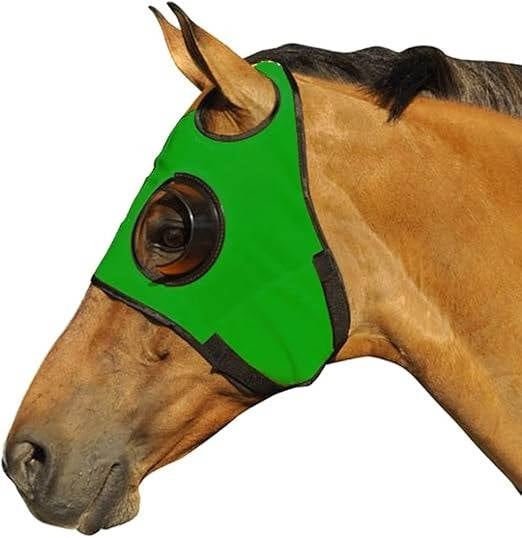 Belro horse blinders for outdoor riding, showing close-up of black leather blinders attached to horse’s bridle in outdoor setting