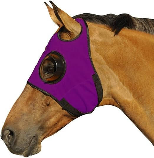 Belro horse blinders for outdoor riding, showing black leather straps with metal buckles on a white background.