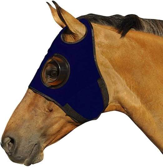 Belro horse blinders for outdoor riding, featuring durable design and secure fit for horse safety and visibility.