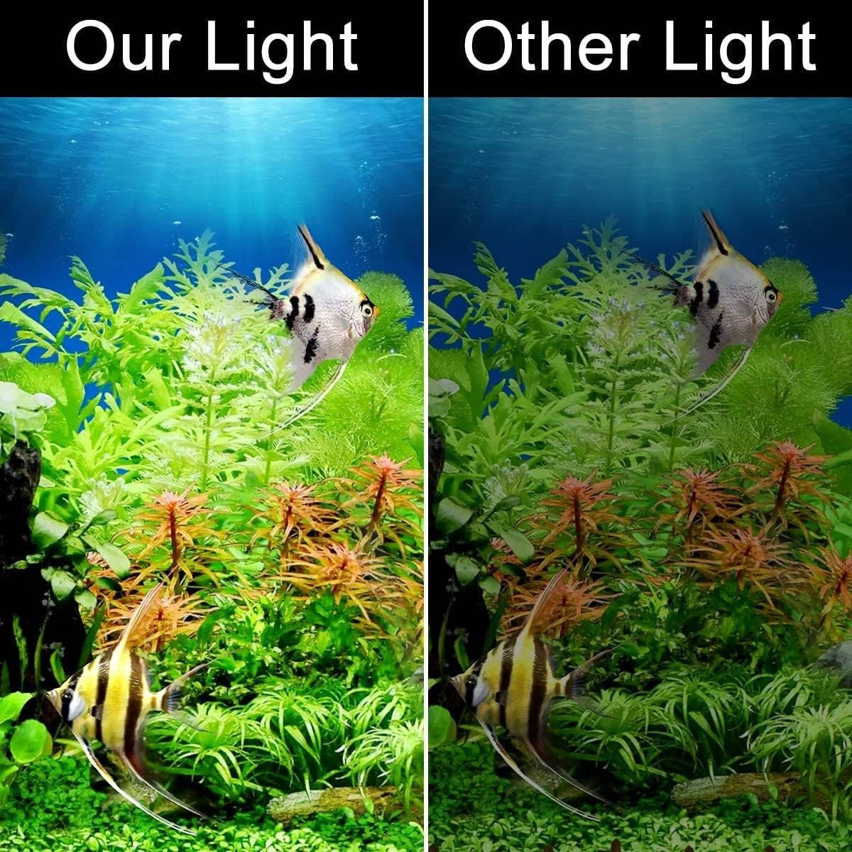 Belro Super Slim LED Fish Tank Aquarium Light illuminating an aquatic plant in a clear fish tank.