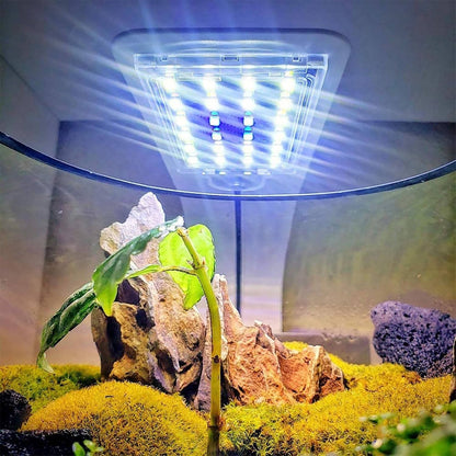 Belro super slim LED fish tank aquarium light designed for aquatic plants, providing bright illumination for freshwater aquariums.