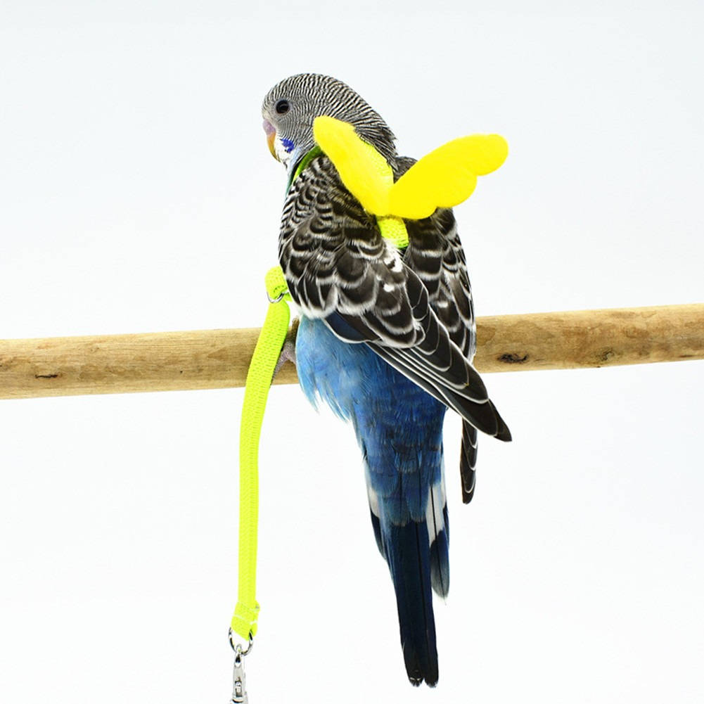 Belro parrot bird harness with adjustable straps, designed for safe and comfortable outdoor outings for pet birds.