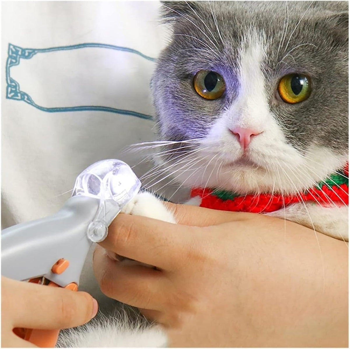 Belro pet bail clipper with light for dog grooming, featuring a sleek design and integrated light for precise trimming.