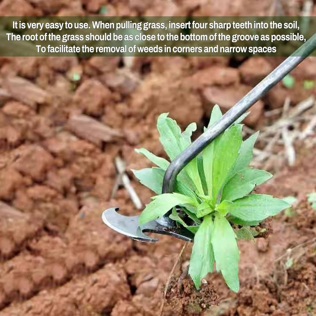 Belro men's weed tool remover in clothing category, designed for easy removal of weeds from clothing or fabric.