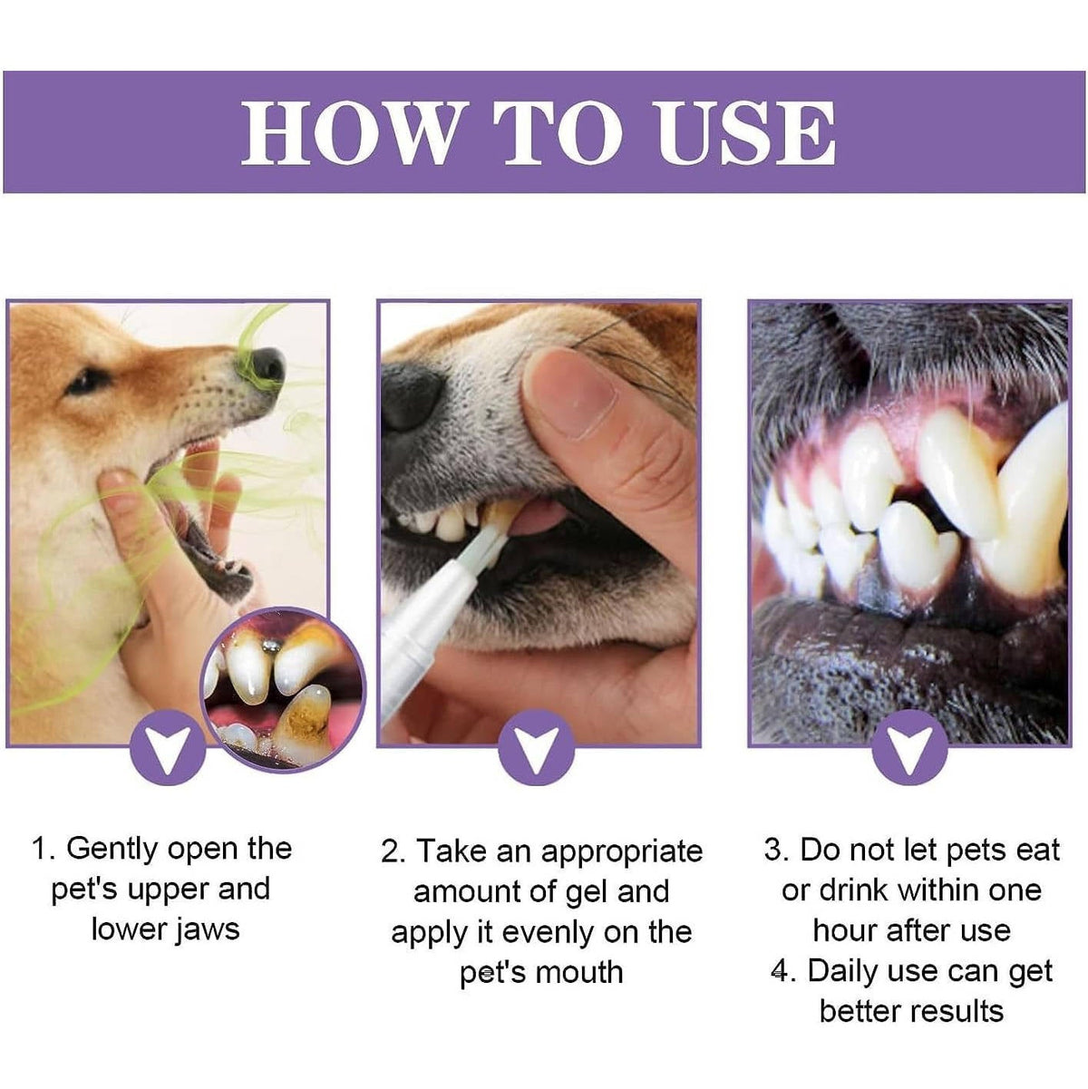 Belro 3-set dog oral repair gel in a box, natural pet oral care product for dogs, health and beauty oral hygiene.