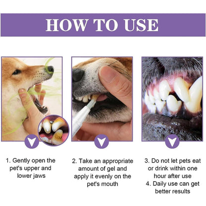 Belro 3-set dog oral repair gel in a box, natural pet oral care product for dogs, health and beauty oral hygiene.