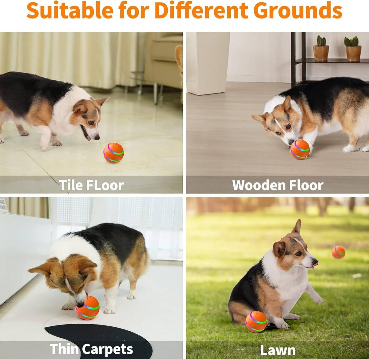 Belro interactive dog ball toy for pets, featuring a colorful, durable design perfect for play and engagement