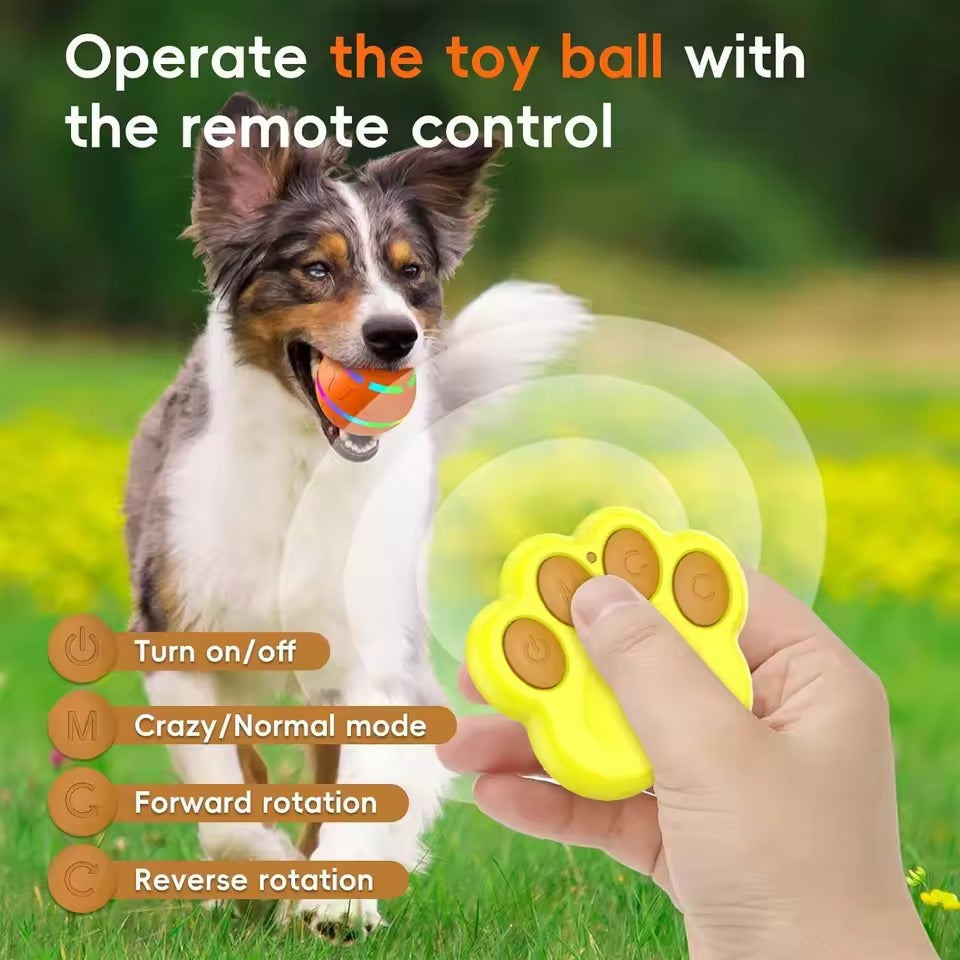 Belro interactive dog ball toy for pets, showcasing a colorful, durable plastic ball designed to engage and entertain dogs during play.