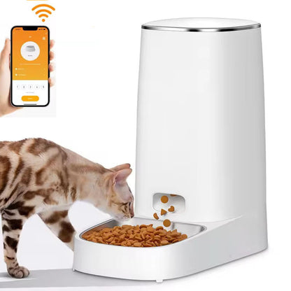 Belro automatic cat feeder with clear plastic food container and dispensing tray for pet feeding supplies.