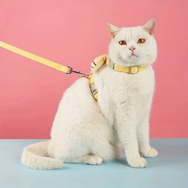Belro cat collar and harness set with adjustable straps, soft material, and secure buckle for comfortable pet wear.