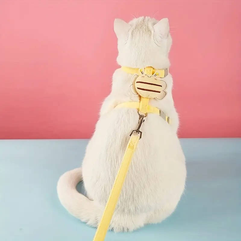 Belro cat collar and harness for pets, featuring adjustable straps and secure fastening for comfortable wear.