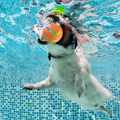 Belro interactive dog ball toy for pets, featuring a colorful, durable design perfect for engaging playtime with dogs.
