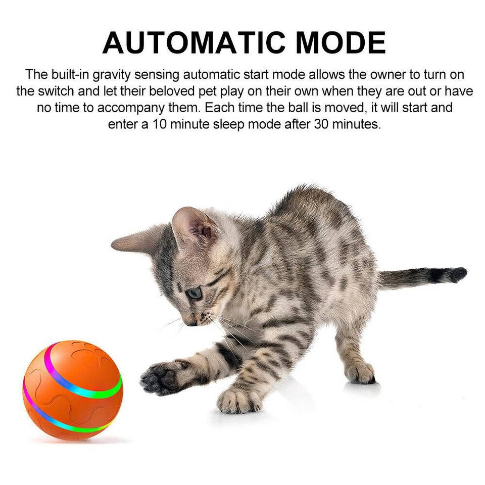 Belro interactive dog ball toy with bright colors and textured surface for engaging play and mental stimulation for pets.