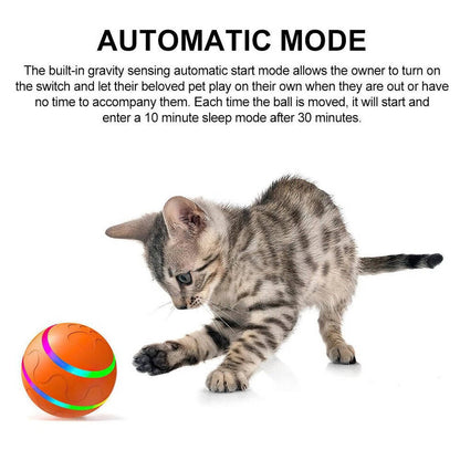 Belro interactive dog ball toy with bright colors and textured surface for engaging play and mental stimulation for pets.